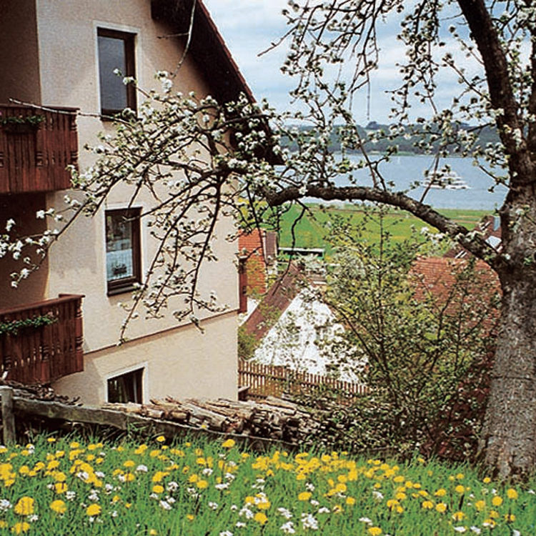 Haus 5115842 Haus Traumblick